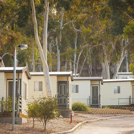 Alivio Tourist Park Canberra Exteriör bild