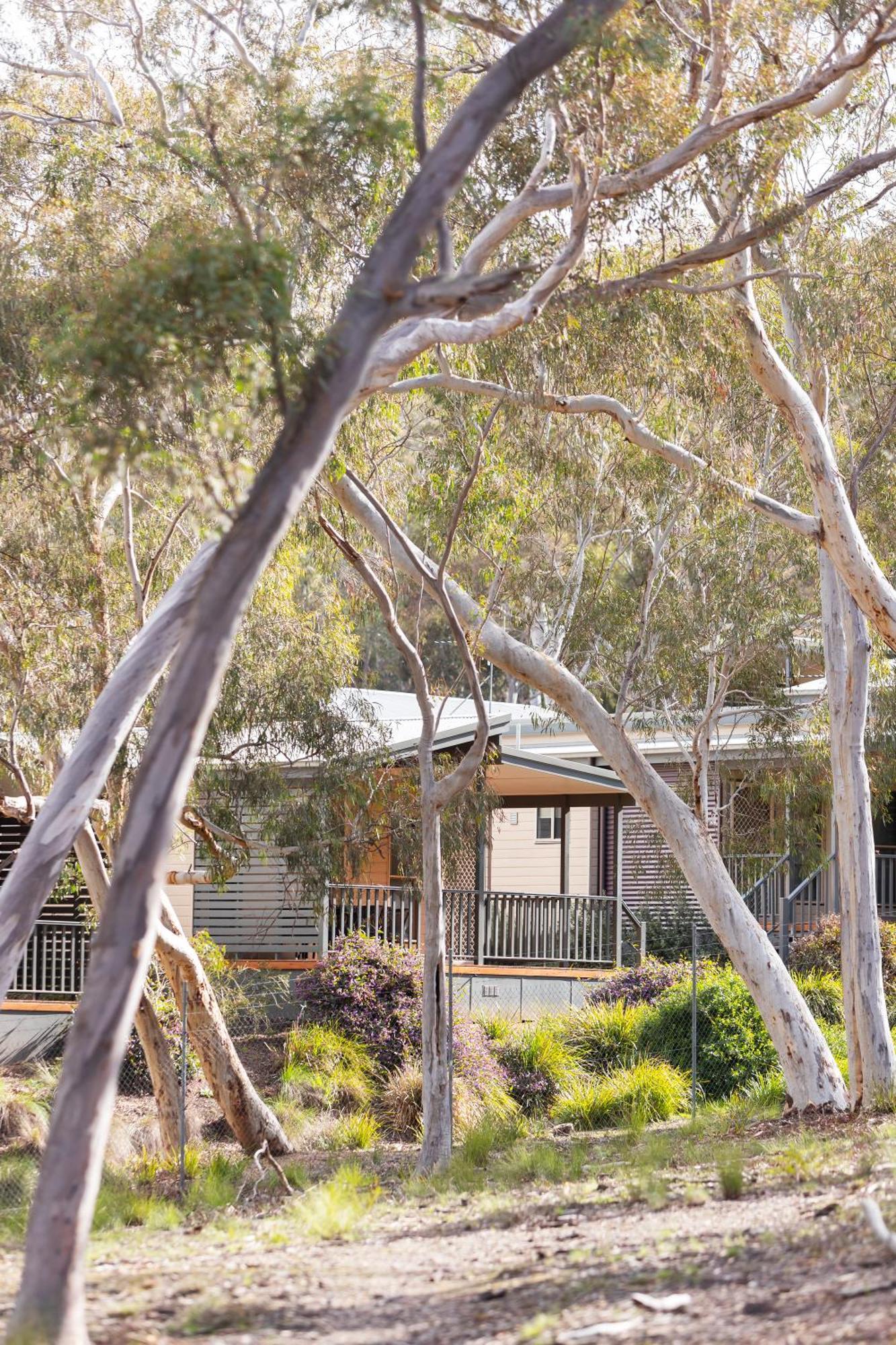 Alivio Tourist Park Canberra Exteriör bild